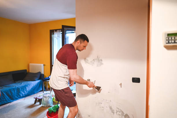 Best Professional Mold Removal  in Jackson, GA